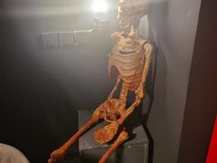 -百川·追风楼沉浸式剧本杀