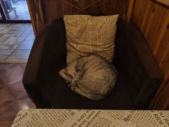 -隅cafe(傅厚岗店)