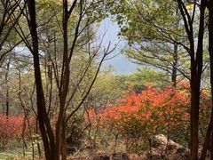 景点-雨花胜境