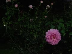 -人民公园(罗湖区)