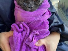 -宠颐生宠物医院·犬猫全科·皮肤科(商业街店)