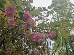 -汉江湾体育公园