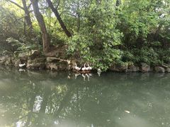 -兰亭风景区