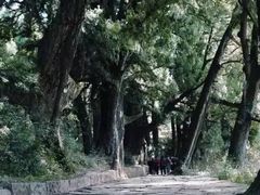-七曲山风景区