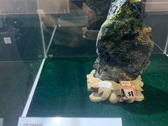 -中国第四纪冰川遗迹陈列馆