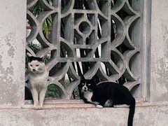 -西园戒幢律寺