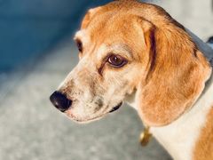 -星海音乐学院(沙河校区)