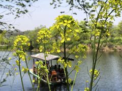 -婺源月亮湾
