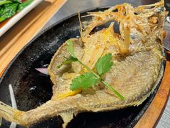 潮煎黄花鱼-潮界(虹桥天地店)