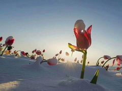 -肯德基(津滨店)