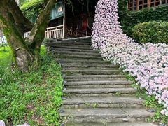 -巴倒烫陆派火锅山庄(南山总店)