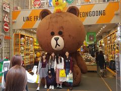 -line friends(明洞旗舰店)