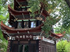 -香园自助小火锅