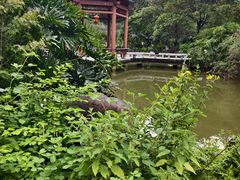 -广州神农草堂中医药博物馆