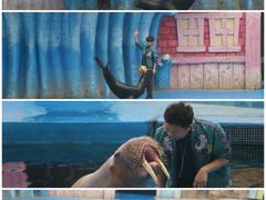 -华夏文旅海洋公园