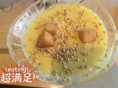草原鲜奶羹-蒙料·手把肉(望京店)