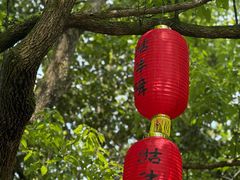 -石台牯牛降景区