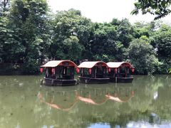 -侨美·唐荔园·40年地道粤菜