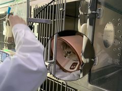 -贝利宠物医院·骨科·眼科·肿瘤转诊中心(南坪诊疗中心)
