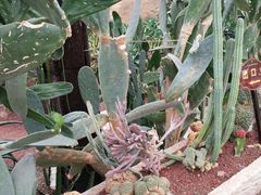 -南通洲际绿博园