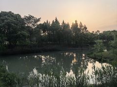 -贡湖湾湿地公园