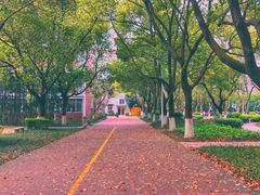 -浙江万里学院(回龙校区)