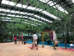 -灵山莲花公园-温泉度假区