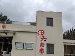 -前小桔亲子创意农场·草莓采摘·露营烧烤