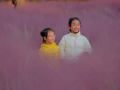 -东郊湿地公园