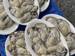 -花苑美食横琴生蚝火锅(拱北粤华路店)