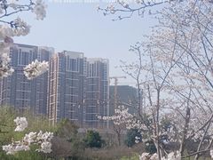 -堤角公园