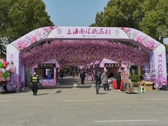 -南汇桃花村