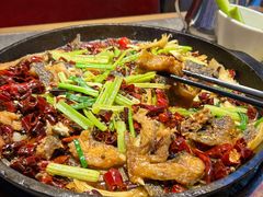 -老板恋上鱼(恒隆广场店)