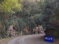 -上海佘山国家森林公园西佘山园