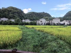 -高荡千年布依古寨旅游景区