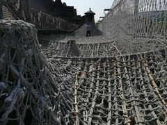 -呀路古热带植物园