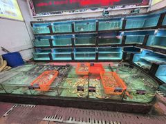 -天天海鲜城·海鲜大排档(新溪店)