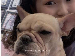 -柯斗斗主题餐厅·狗咖·围炉煮茶·茶饮(国瑞升平里店)