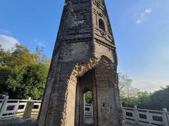 -上海佘山国家森林公园天马山园