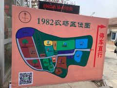 -1982农场
