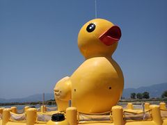 -野鸭湖国家湿地公园