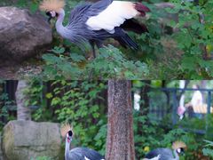 -上方山森林动物世界