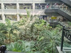 -黑龙江中医药大学附属第一医院