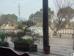 -呼吸森林·生态农庄农家乐私房菜