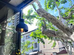 -Apollo·西班牙小酒馆(安福路店)