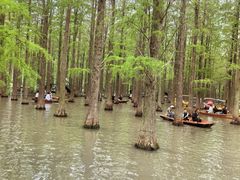 -渌洋湖湿地公园