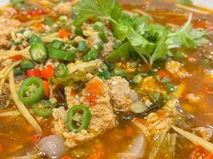 -飞虹鱼馆(春华路店)