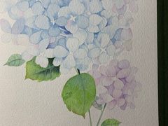 -六出私塾LiuChu•成人美术书法系统课程专业画室(熊婆婆的花园店)