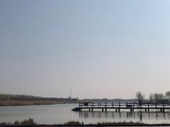 -西青郊野公园