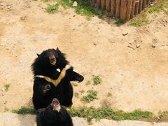 -石家庄市动物园